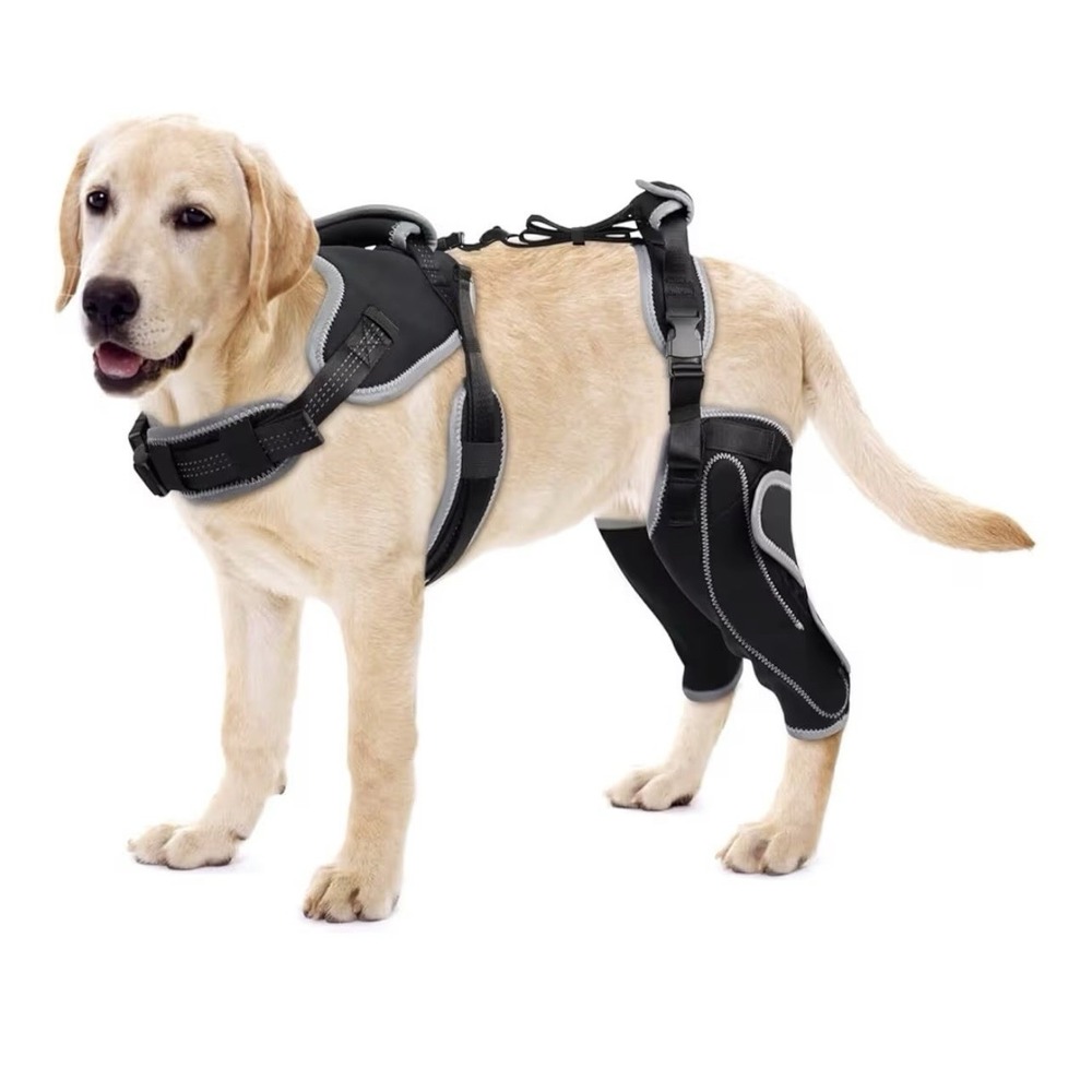 LISPOO Dog Knee Brace for Torn AC/CCL Hind Leg,Dog Leg Braces for Back Leg XL